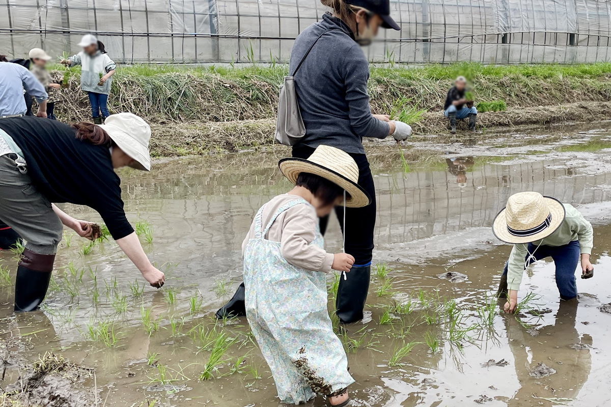 こどもたちもがんばる!