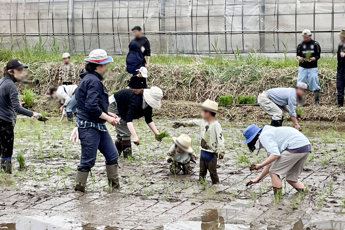 頼もしい子どもたち