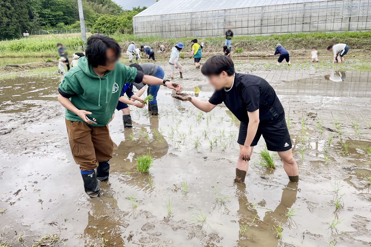 ミミズ!発見