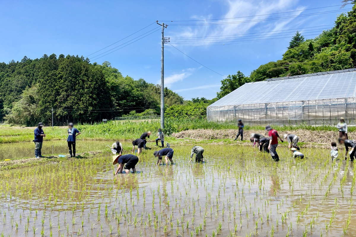 いいお天気の下で草取り