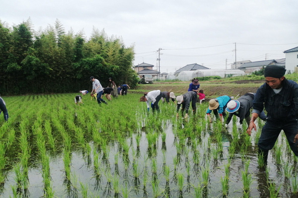 中腰で泥を掻きながら進みます。
