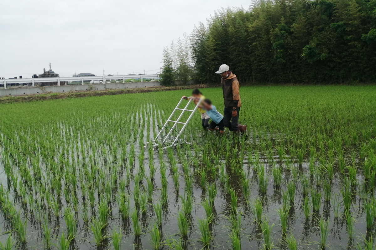 除草機は子どもたちに大人気