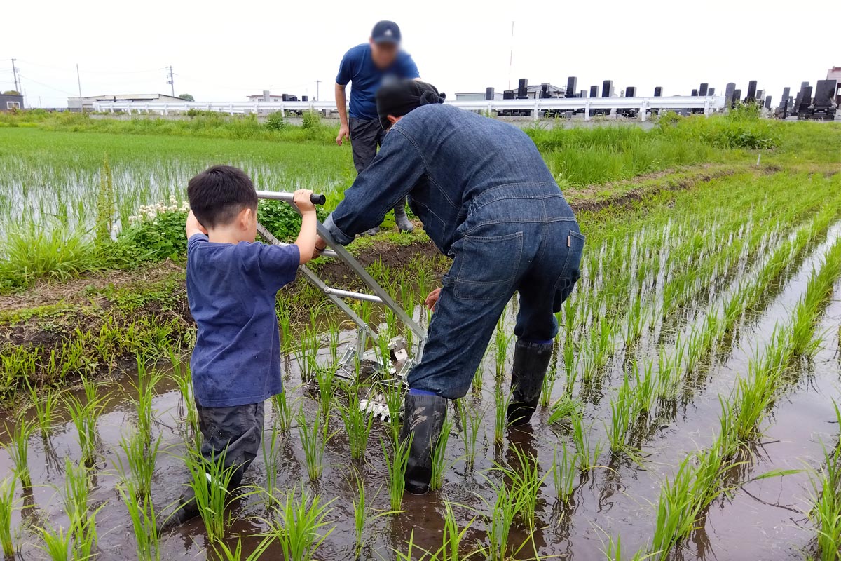 小さい子も頑張ってます
