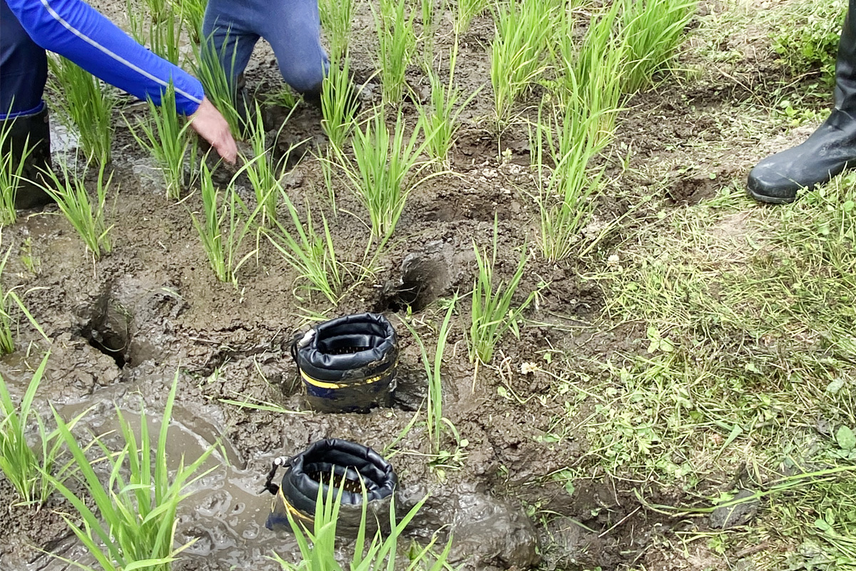 埋まってしまった長靴、誰の〜?