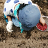 7/6 たねまきプロジェクト2025 たねまき