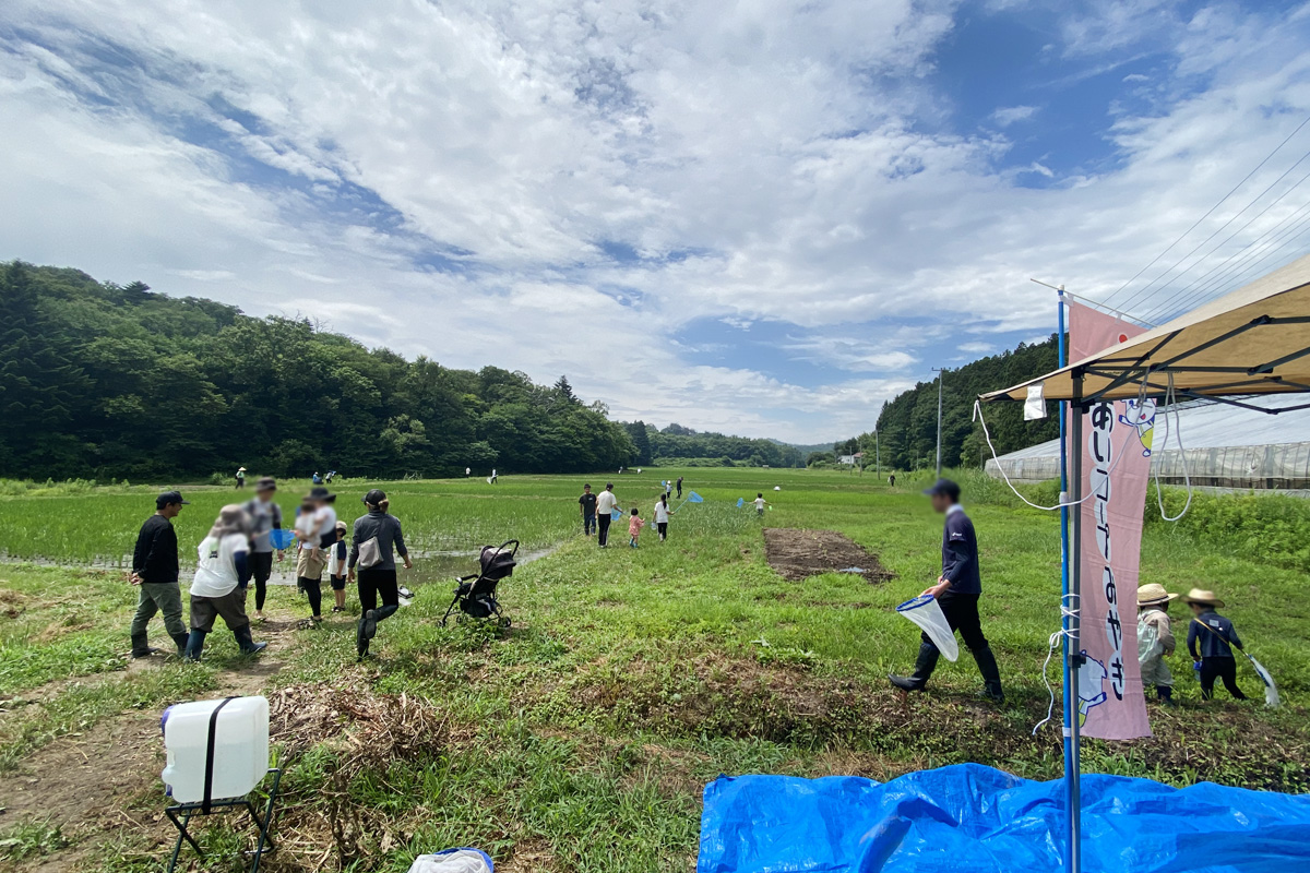 暑い中生き物調べスタート