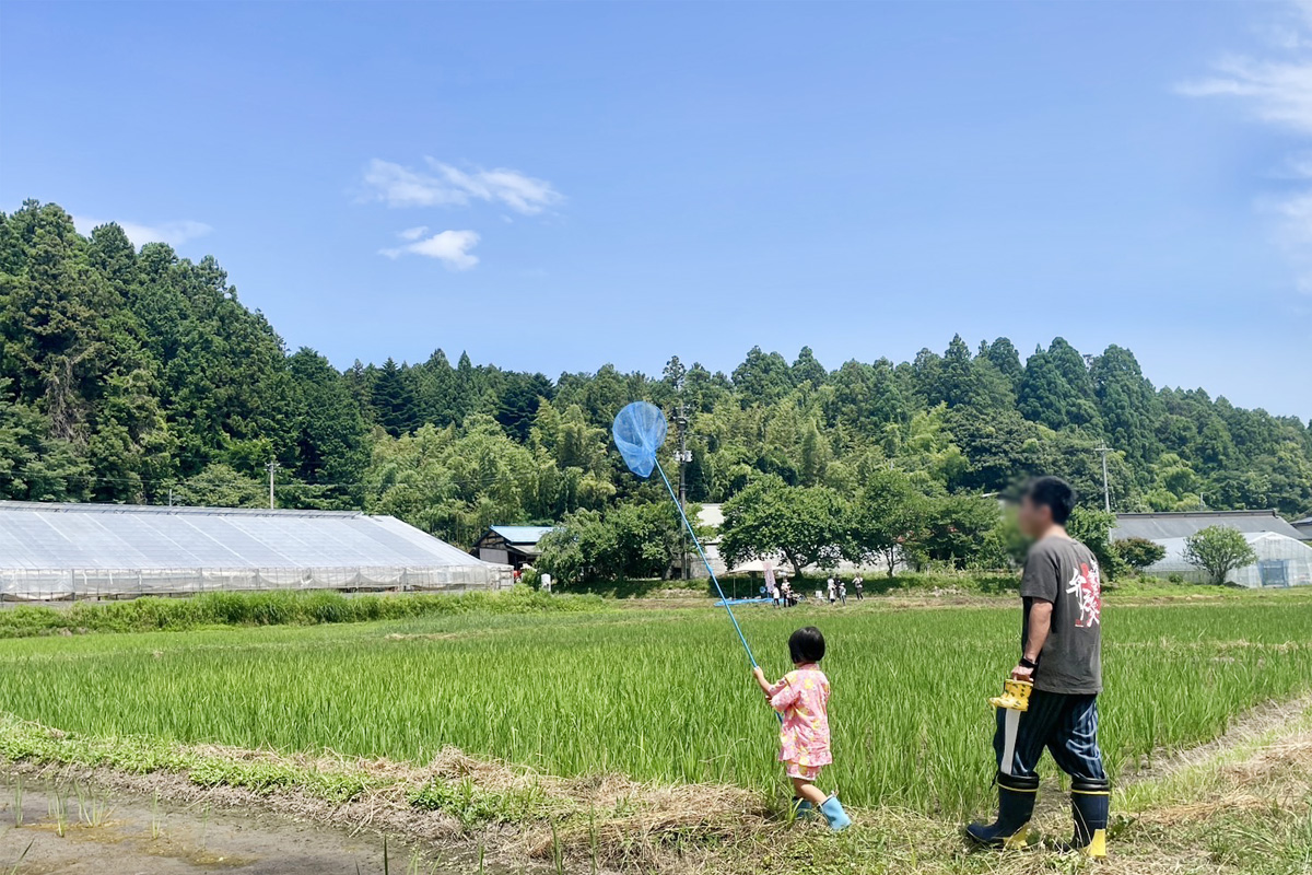 親子で虫取り