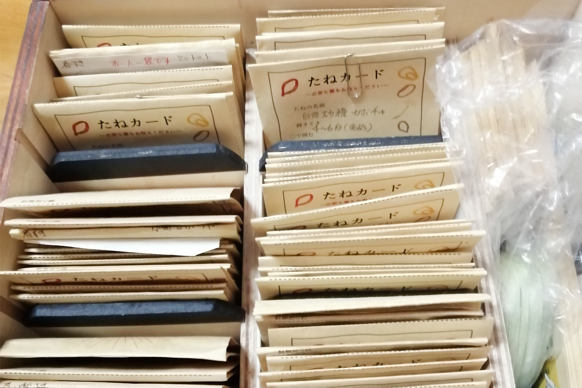 たねBOXには全国の色んな種が満載