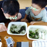 7/12 七郷トライ田んぼ 生き物調べ