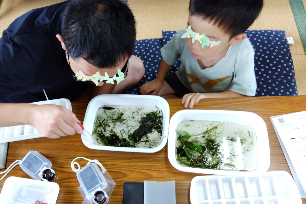小さな世界に感動