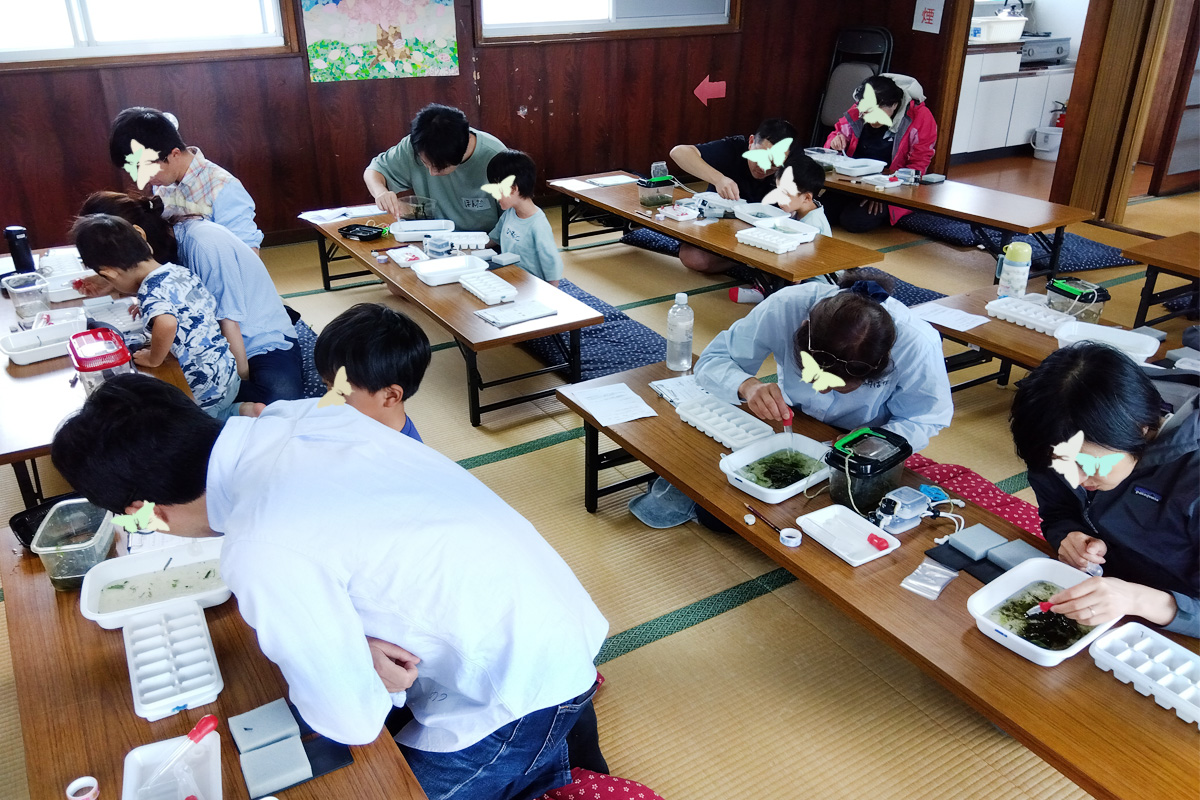大人も夢中