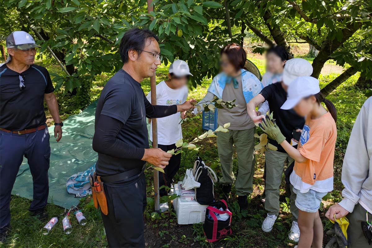 木陰で葉っぱにつくダニの被害について話す生産者さん