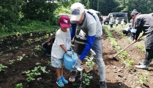7/27 たねまきプロジェクト　土寄せ