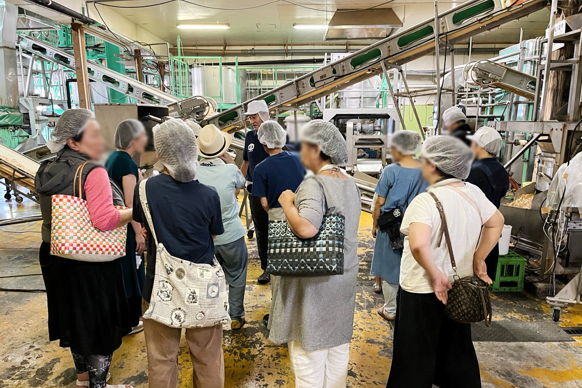 味噌作りの工程を見学