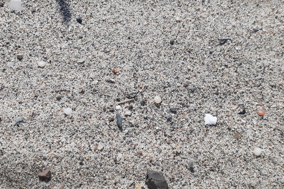 砂浜に落ちているレジンペレット