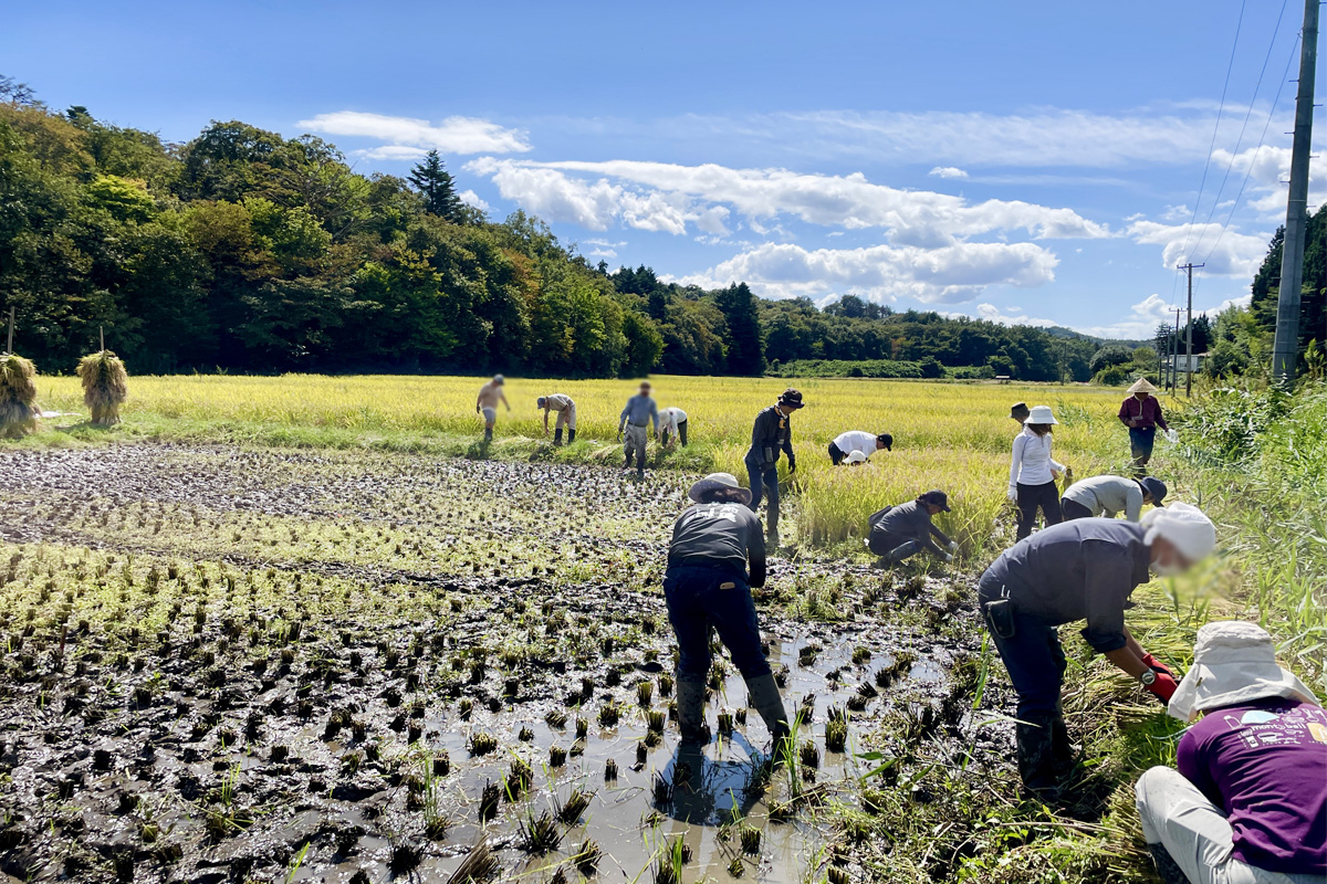ゴールが見えてきた！