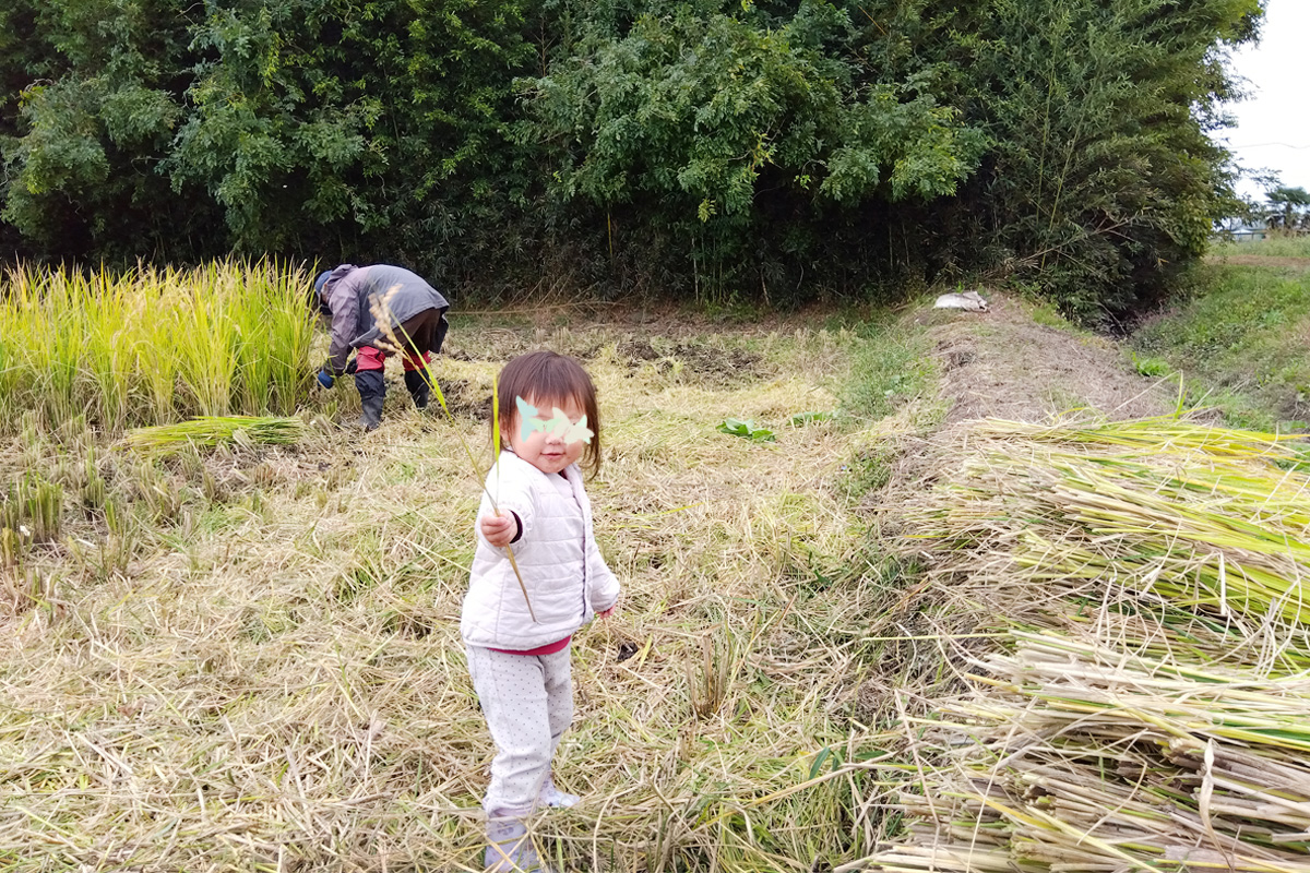 小さい子もお手伝い