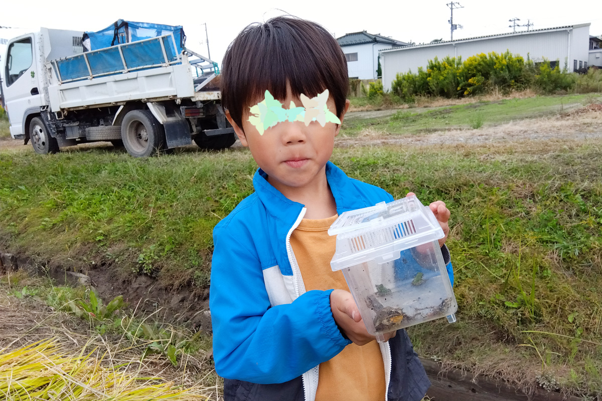 カエルもいたよ
