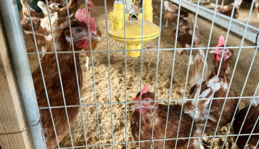 9/17 米沢郷牧場見学