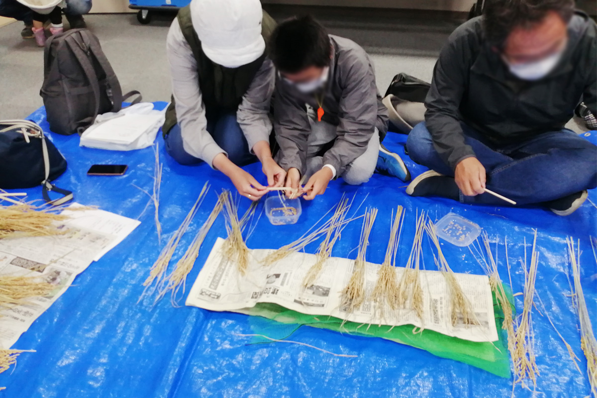 本数を数えて脱穀