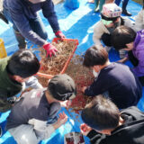 11/16 たねまきプロジェクト　収穫・脱穀