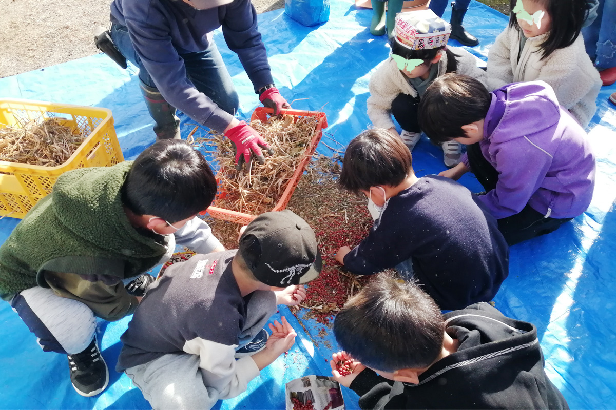 一粒残さず拾おうね!