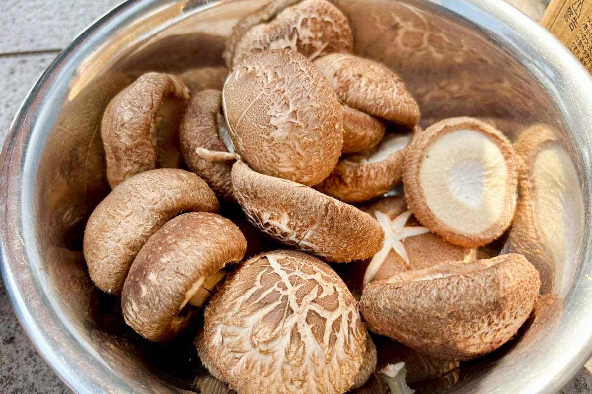 原木椎茸