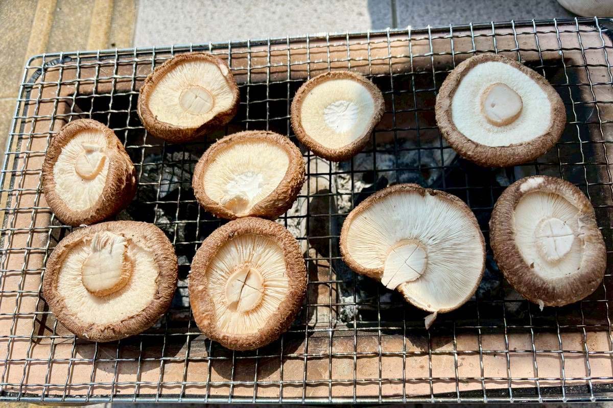 原木椎茸の炭火焼き