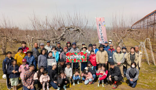 2026年度 天童トライりんごオーナー活動始まっています