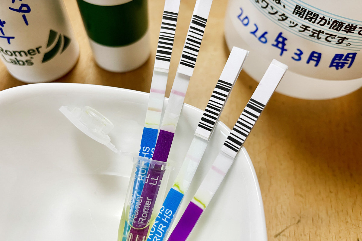 試験紙に二本線が出たら陽性、一番左のがラウンドアップ耐性ナタネの反応です