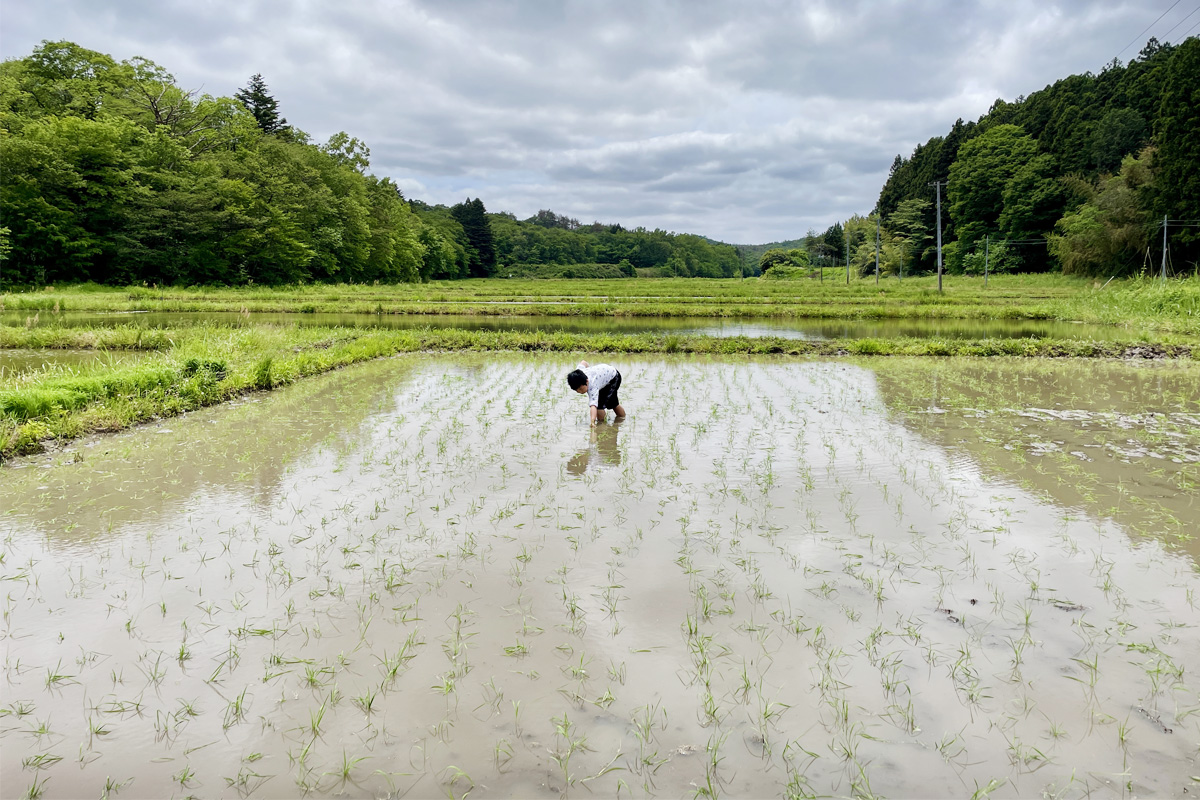 この道4年の大ベテラン、最後までチェックに抜かりなし
