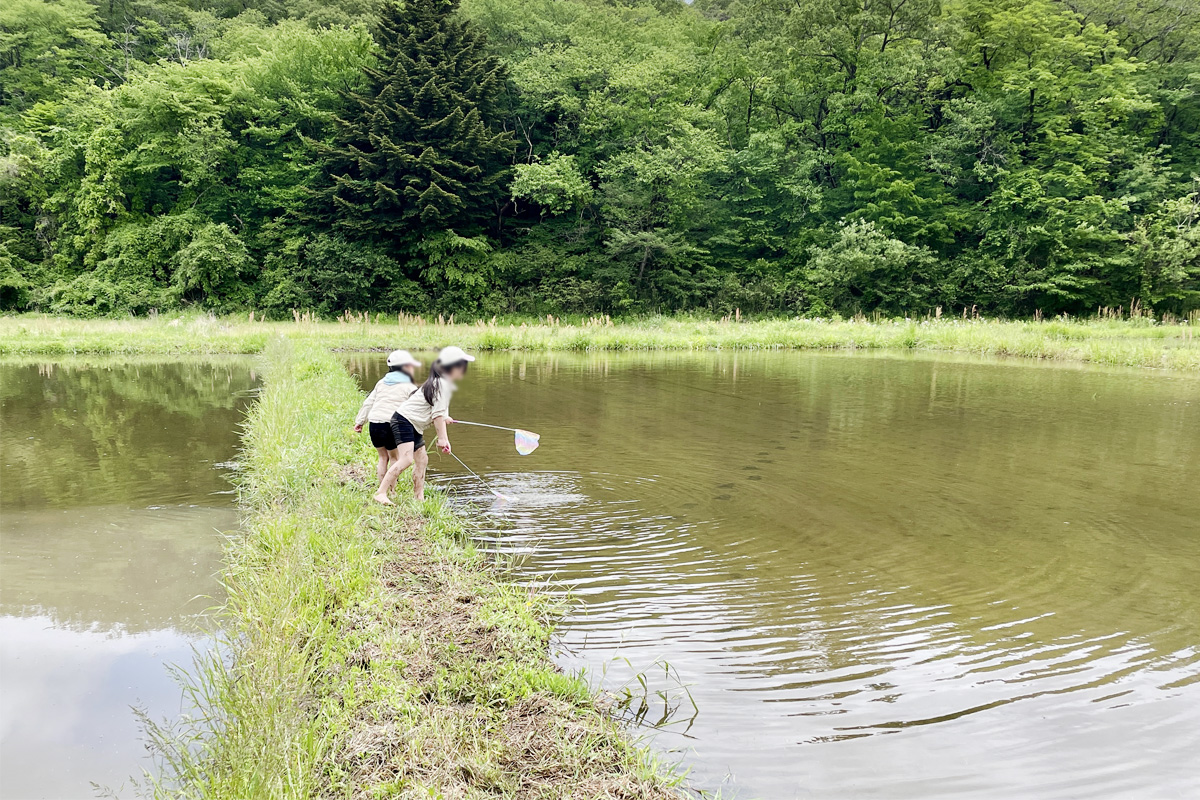 のどかな風景…でも田んぼにクマらしき足跡