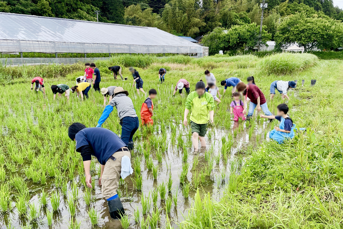 日差しも暑さもなく作業日和