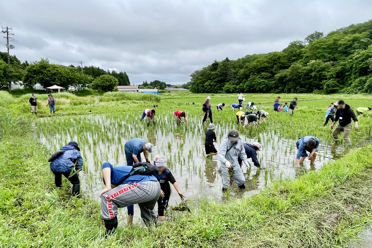 昼から雨の予報。さぁ降られる前に終わらせるぞー