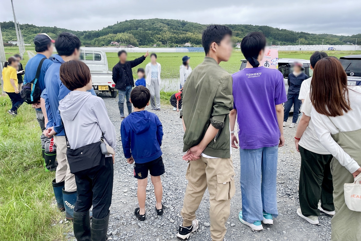 小松菜ハウス見学に移動。奥に見えるのは「金のいぶき」の田んぼ