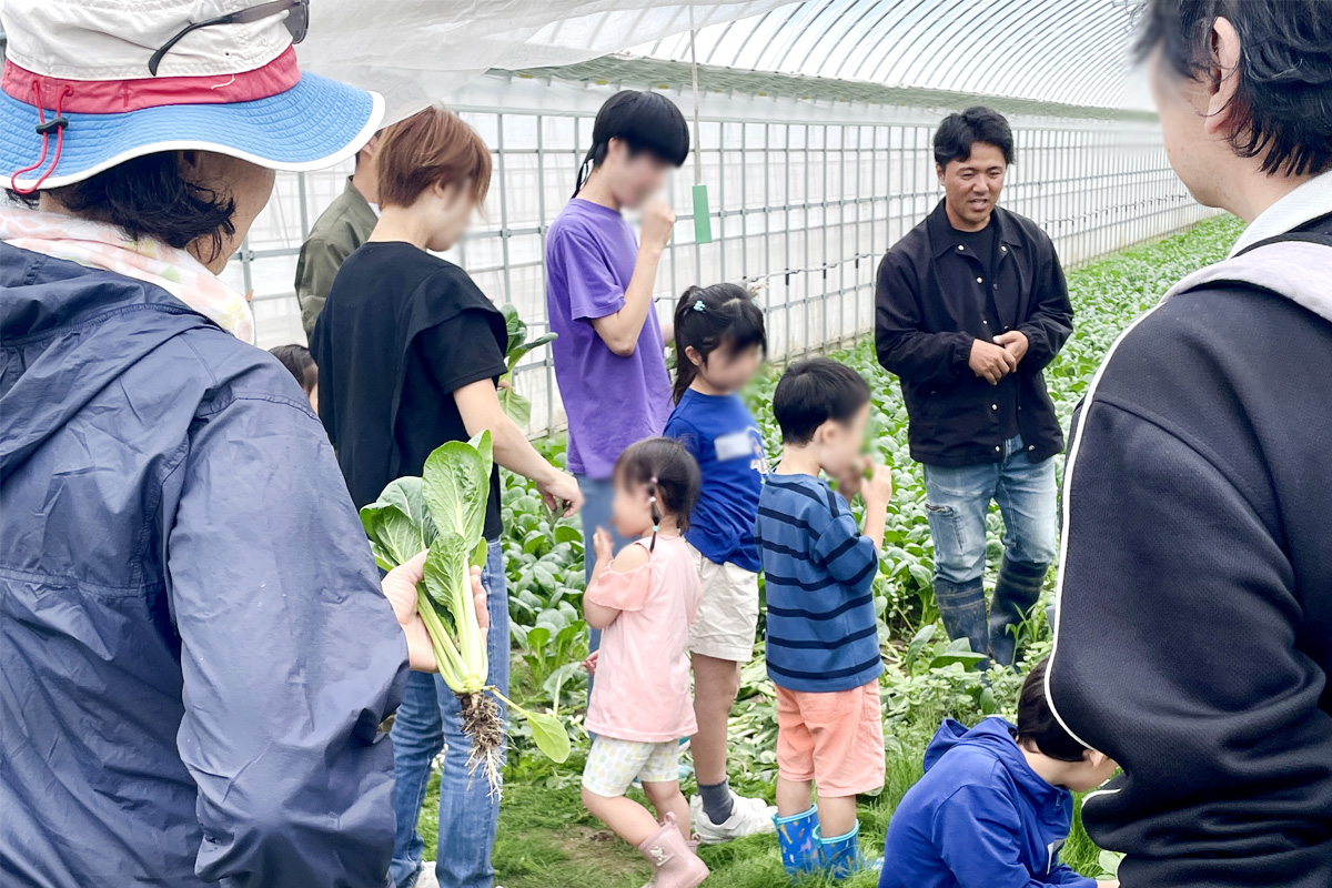有機小松菜なので、その場で味見。株の内側と外側で味が違うのがわかったかな?
