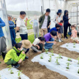 6/20 大郷ふゆ水田んぼ・草取り2回目＆産地見学