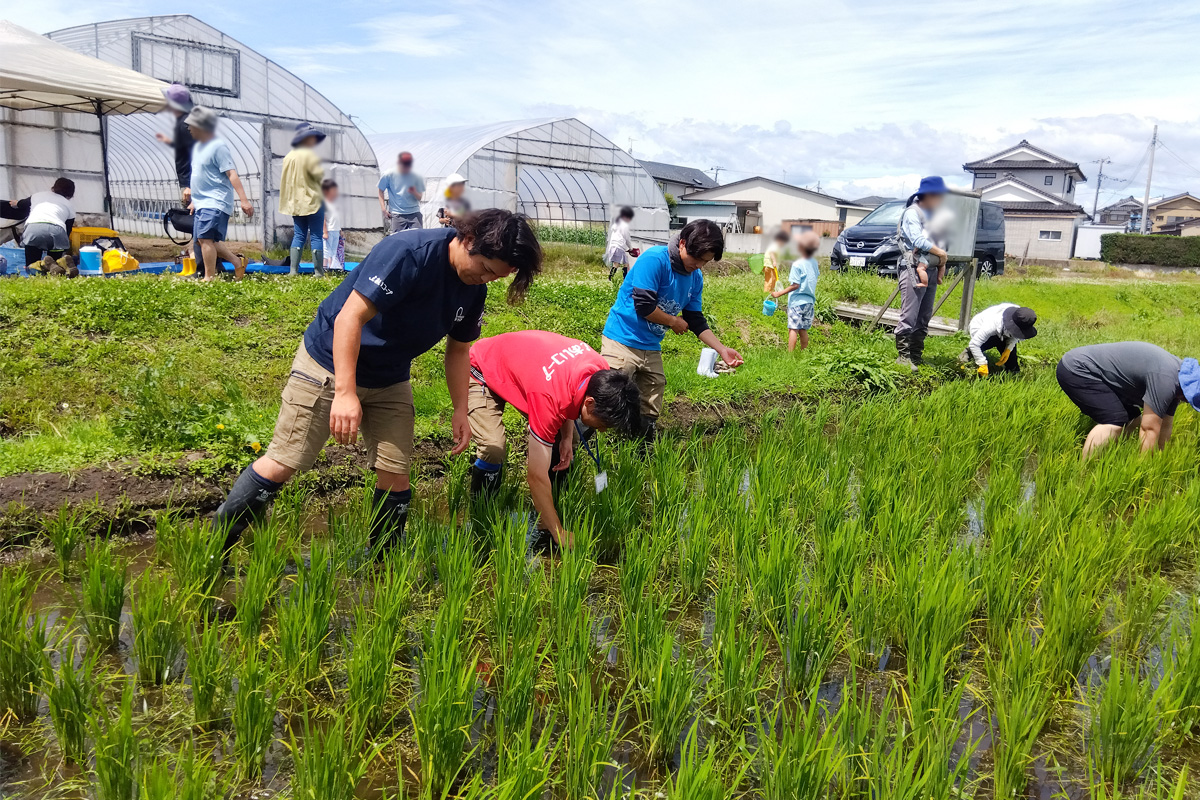 職員さん初めての草取り