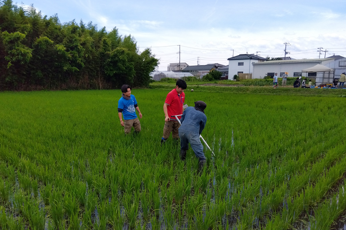 初めての除草機