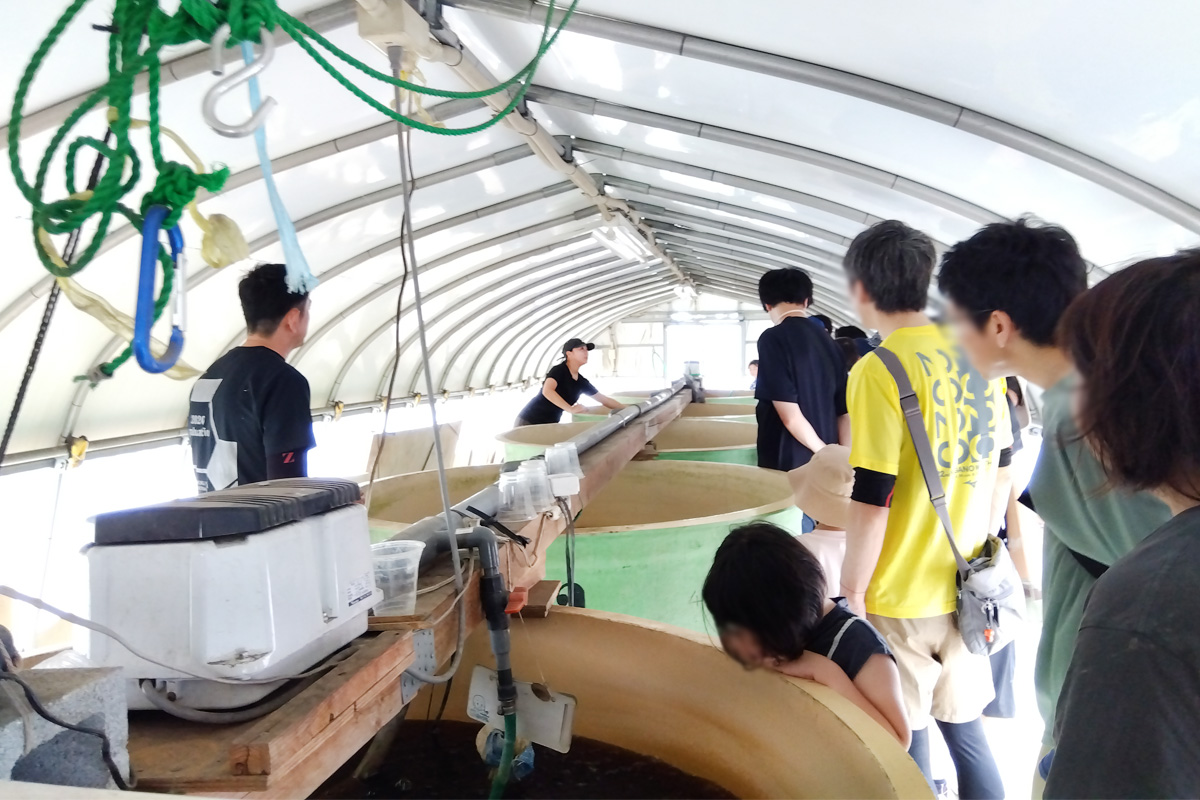 BMしちごう(生活活性水)ハウス見学