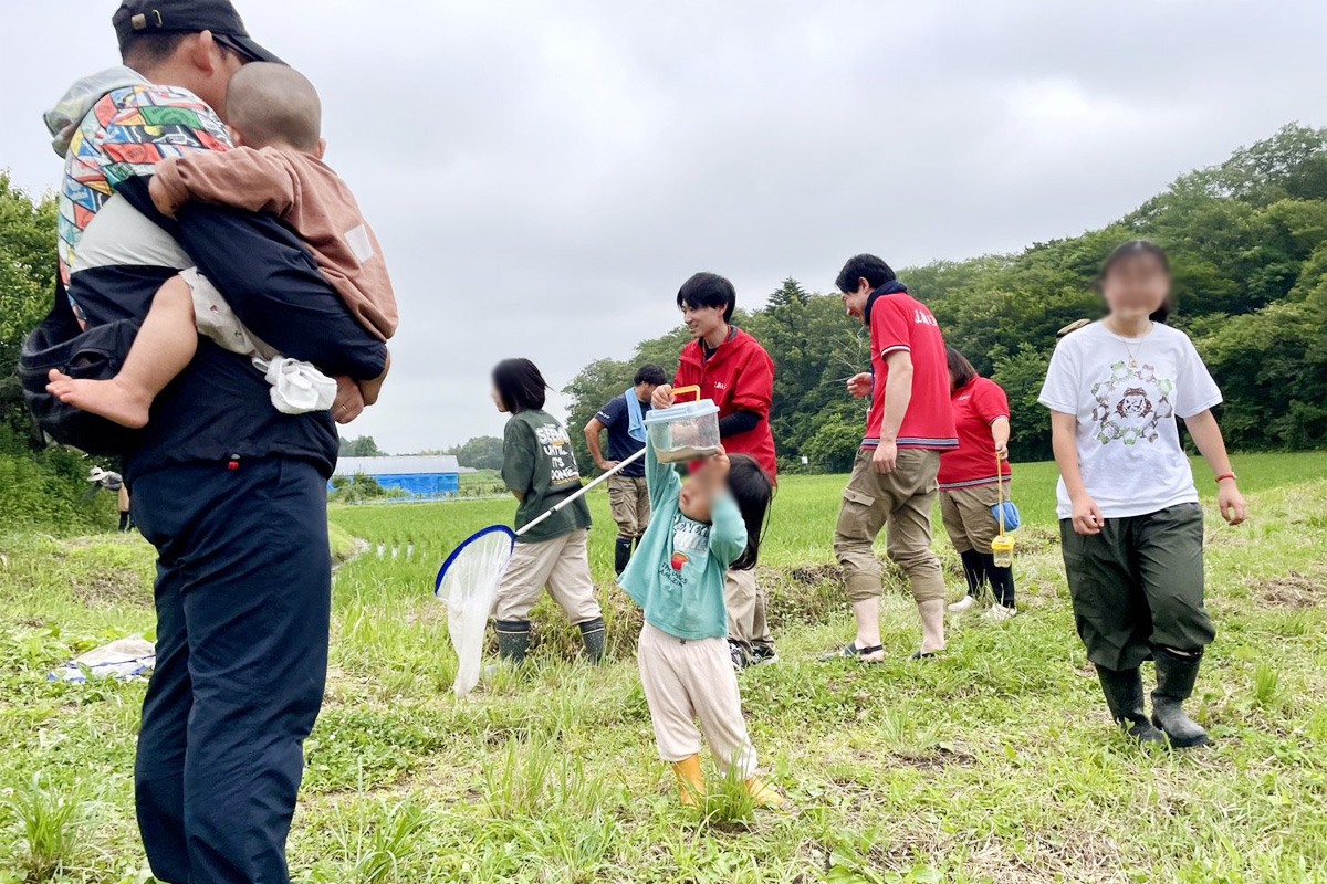 下から見るとどんな風に見えるかな?