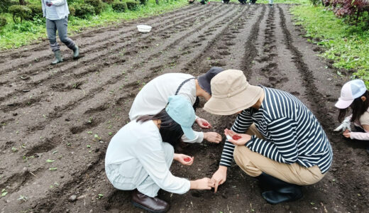 7/5　たねまきプロジェクト2026　たねまき