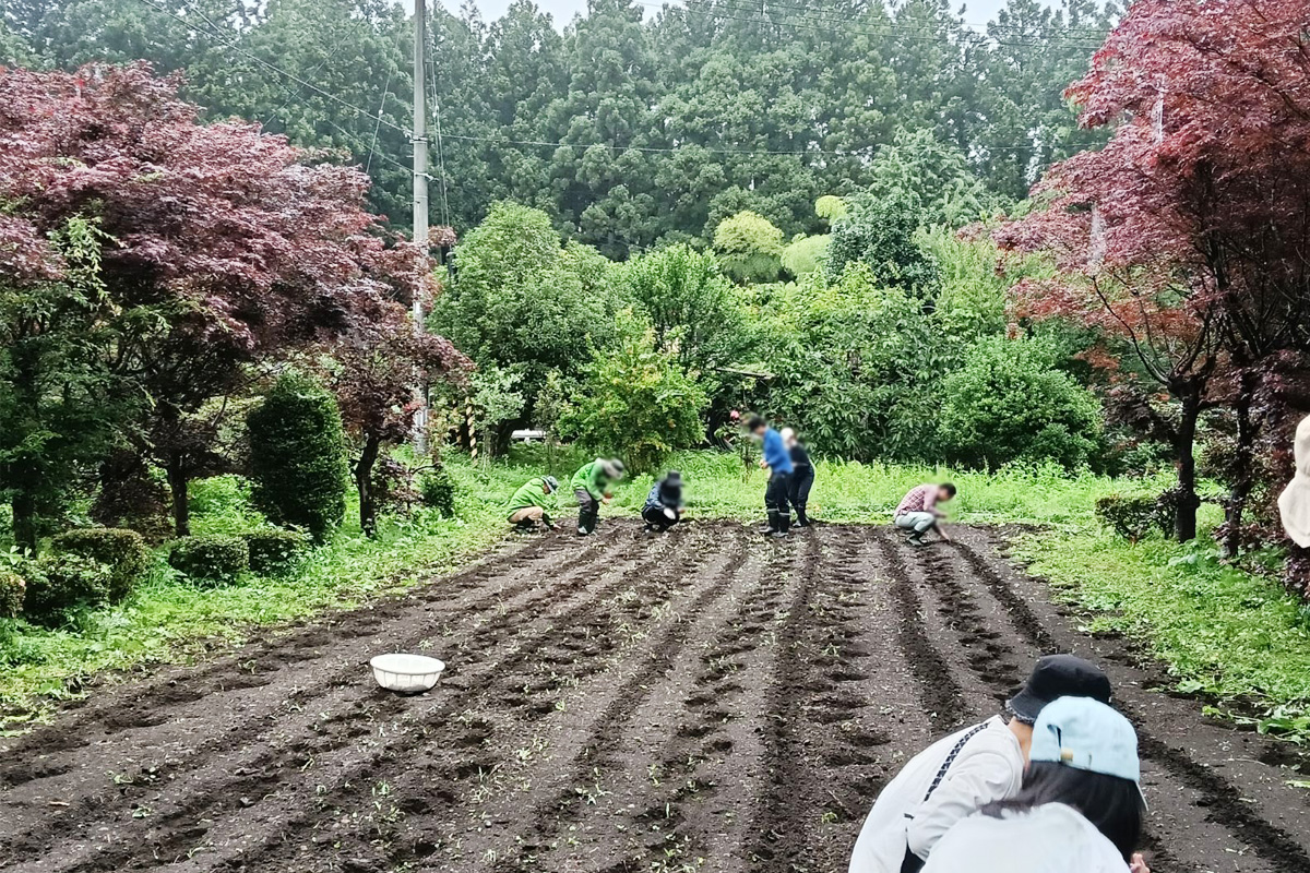 霧雨の中もくもくと作業