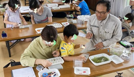 7/11 七郷トライ田んぼ生き物調べ