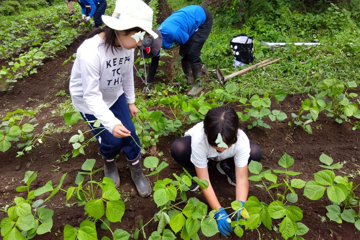 子ども達も協力して草取り