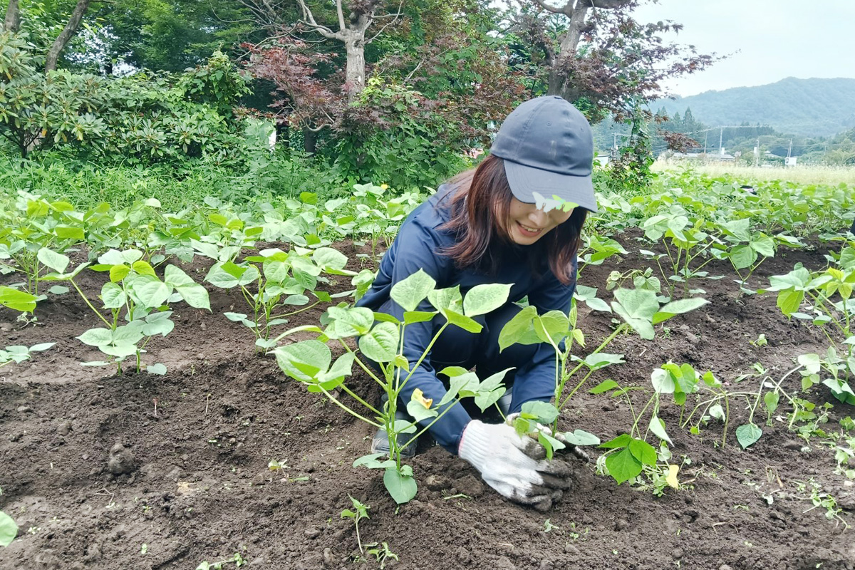 大きくなあれ!愛情込めて土を寄せます