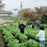 8/23 たねまきプロジェクト3回目 土寄せ
