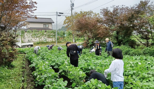 8/23 たねまきプロジェクト3回目 土寄せ