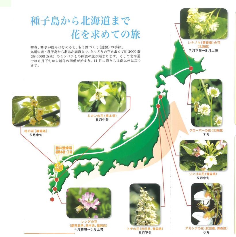 種子島から北海道まで花を求めての旅