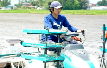 田植えの機：運転しているのは長男の佐々木慶悦